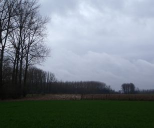 04-02-2023 - Borsbeke (16)