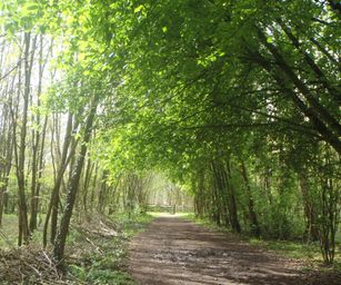 23-04-2023 - Banholt (9)