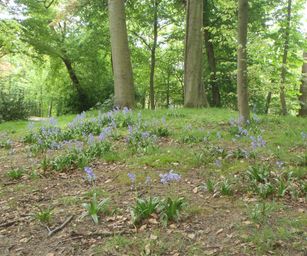 30-04-2022 - Destelbergen (12)