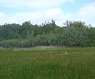 25-05-2023 - Herselt (7)