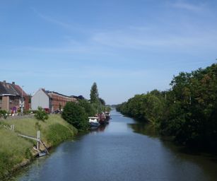Te gek - 01-06-2020 (6)