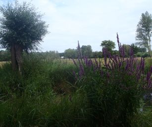 28-07-2022 Brugge 2 (18)