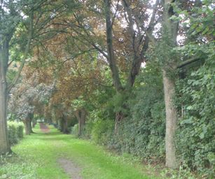 24-09-2022 Melle (15)