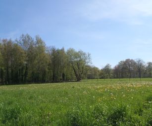 30-04-2023 - Herzele (1)