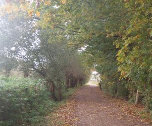 29-10-2023 - Wetteren (5)