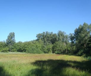 Heindonk - 13-06-2021 (4)