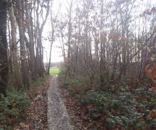 Pellenberg - 13-12-2020 (18)