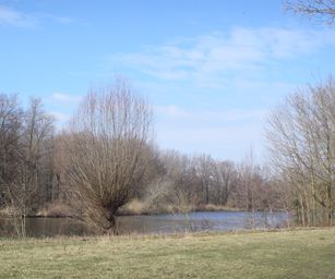 bornem - 20-03-2021 (6)