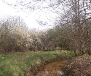 28-03-2023 - Meldert (9)