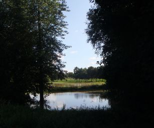 26-08-2023 - Sint-Truiden (5)