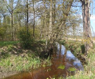 30-04-2023 - Herzele (10)