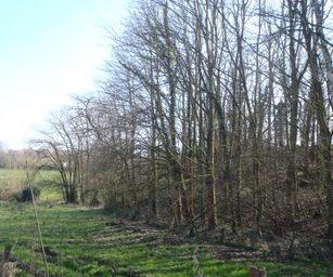 06-03-2022 - Tubize (6)