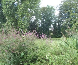 26-08-2023 - Sint-Truiden (12)