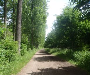 21-05-2022 Tongeren (8)