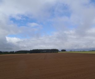 Taviers - 05-07-2020 (4)