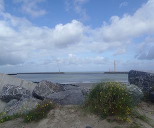 Oostende - 08-08-2021 (6)