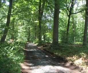 06-06-2022 Binche (10)
