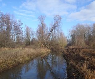 De Pinte - 09-01-2021 (17)