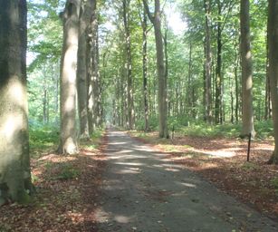 Blanden - 15-08-2020 (14)