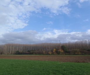 Kalken - 14-11-2020 (33)