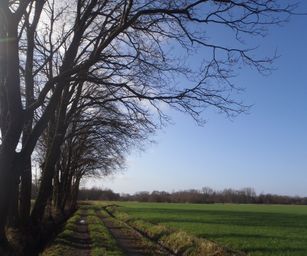 09-01-2022 - Hulsthout  (2)