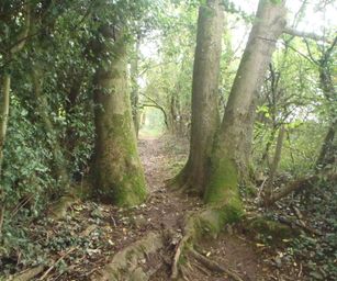 Hamoir - 11-10-2020 (13)