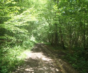 06-06-2022 Binche (12)