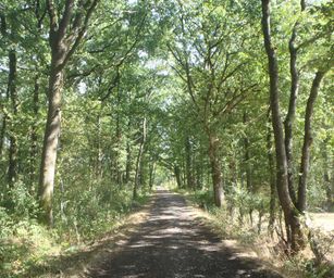 10-09-2022 - Senzeilles (28)