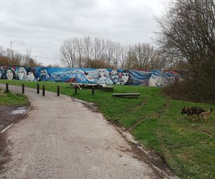 Péronnes-lez-Antoing - 01-03-2020 (6)