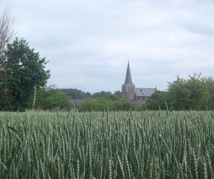 Sint-Pieters-Rode - 19-06-2021 (17)