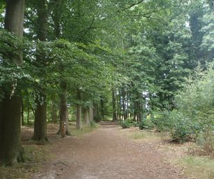 28-07-2022 Brugge 2 (9)