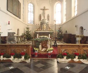 Wezemaal - 20-12-2020 (8)