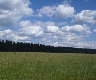 03-07-2022 Bullingen (3)