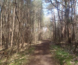 28-03-2023 - Meldert (13)