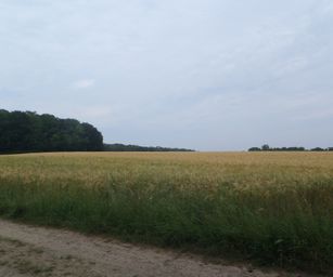 Oud Heverlee - 27-06-2021 (23)