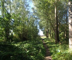 07-09-2023 - Overmere (14)