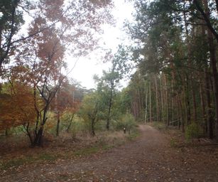 13-10-2022 Lommel (6)