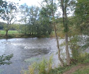 Hamoir - 11-10-2020 (22)