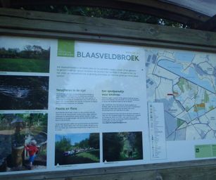 Heindonk - 13-06-2021 (11)