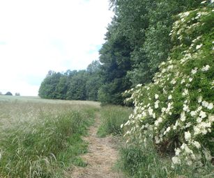 06-06-2022 Binche (1)