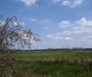 30-04-2023 - Herzele (22)