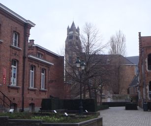 Brugge - 24-01-2021 (10)
