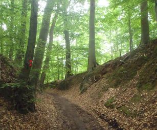 Oud Heverlee - 27-06-2021 (22)