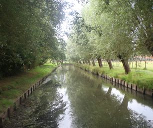28-07-2022 Brugge 2 (1)