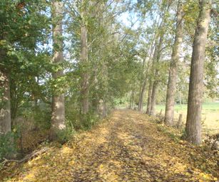 Wetteren - 31-10-2020 (17)