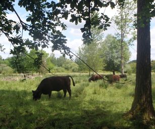 21-05-2022 Tongeren (22)