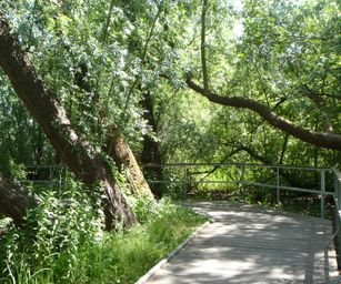 Te gek - 01-06-2020 (40)