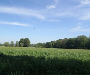 15-05-2022 Brain-le-Comte (23)