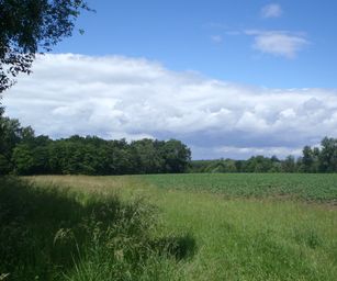 06-06-2022 Binche (8)
