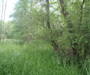 25-05-2023 - Herselt (5)